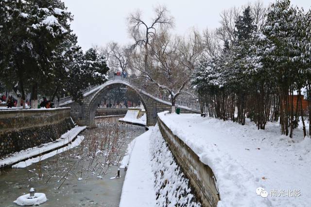 南阳人民公园2018年的首场雪景——南光北影摄影