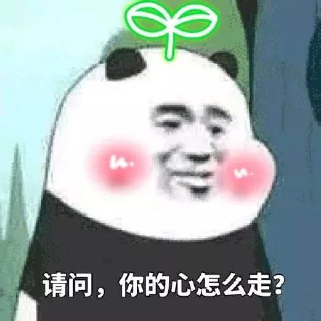 fd562ea25cb24987994c6069b88af182.jpeg