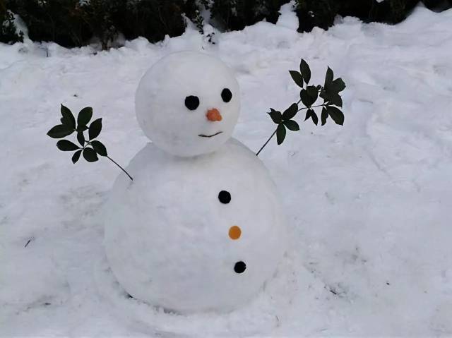 雪走了,留下一堆雪人在搞怪!洛阳人的脑洞