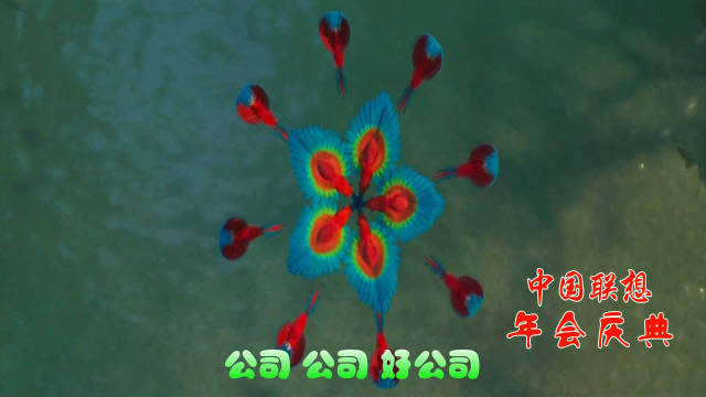 企业 狗年年会开场视频制作创意