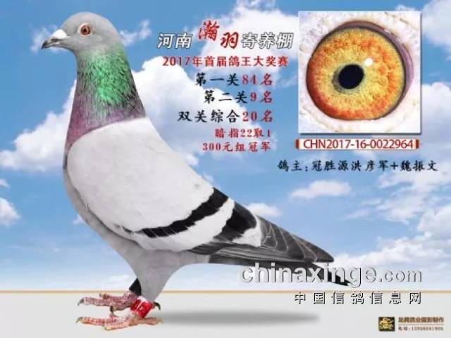 对此你咋看?