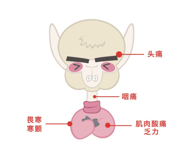 疯狂的流感季——怎样才能逃离它的魔爪!