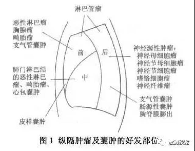 纵隔解剖   纵隔疾病x线诊断要点