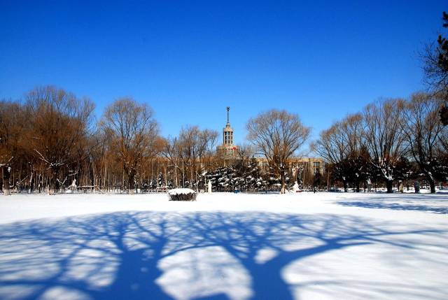 黑龙江22所冬季校园雪景图!美得简直犯规!多少分能进?