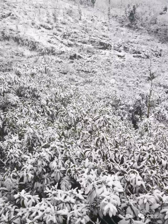 北川下雪了!雪景刷爆朋友圈,原来北川这么美