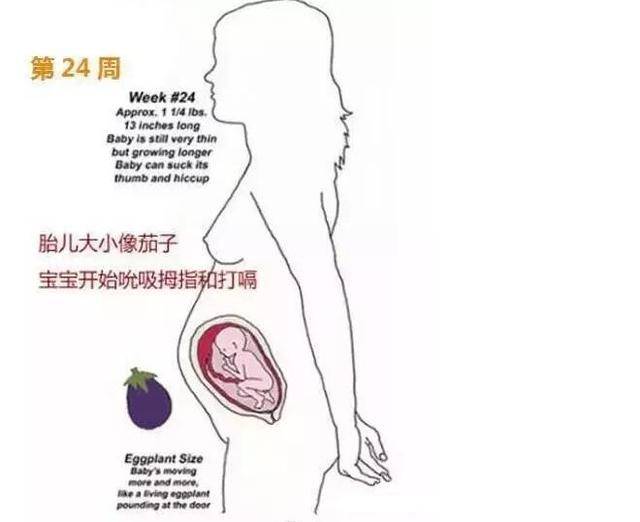 怎样可以快速发育 b247fe5afe784e959cd9e61816c9ac3a.jpeg