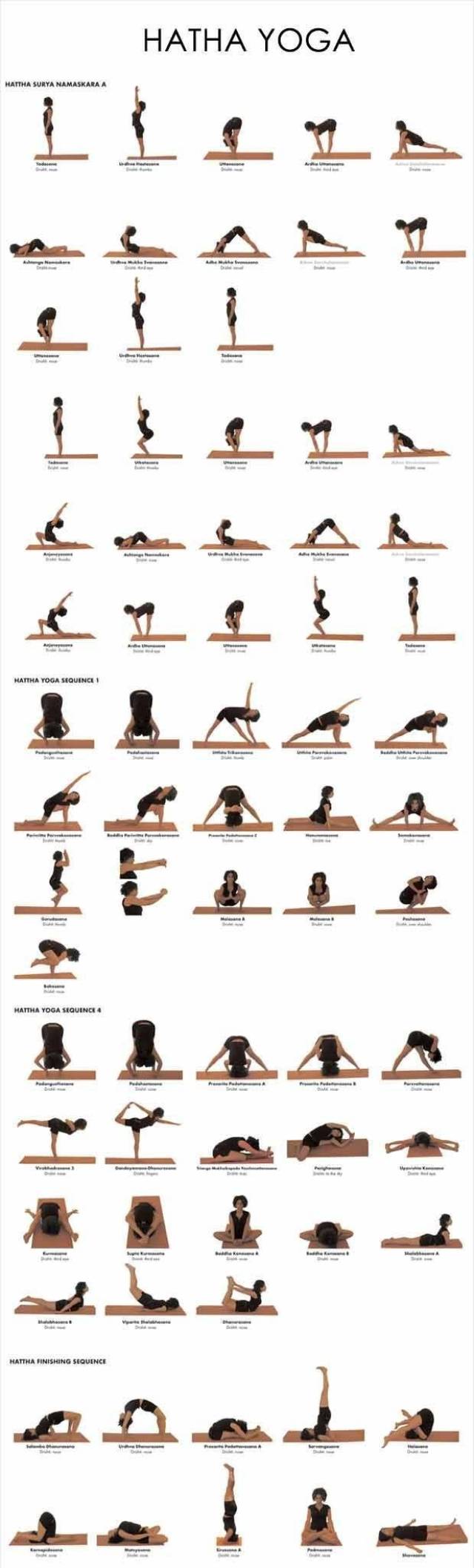 练习瑜伽这么久,你知道的瑜伽流派有哪些