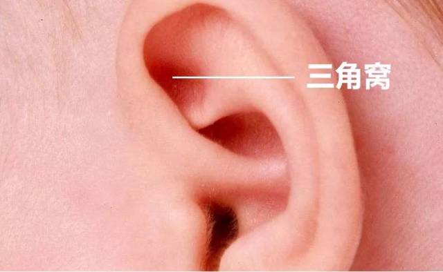 这个位置可能很多人都不知道,指的是耳朵部位的角窝,耳朵上面的三角区