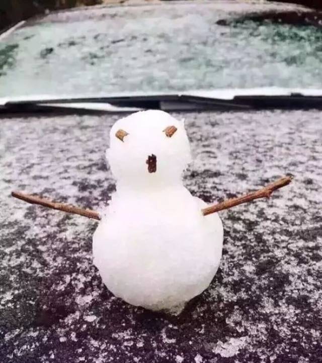 下雪了?雪地表情包来一波