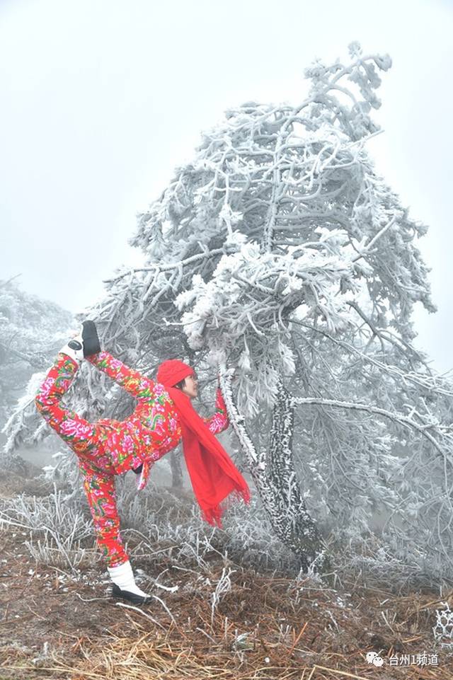 雾凇丨天台华顶的冰雪奇缘