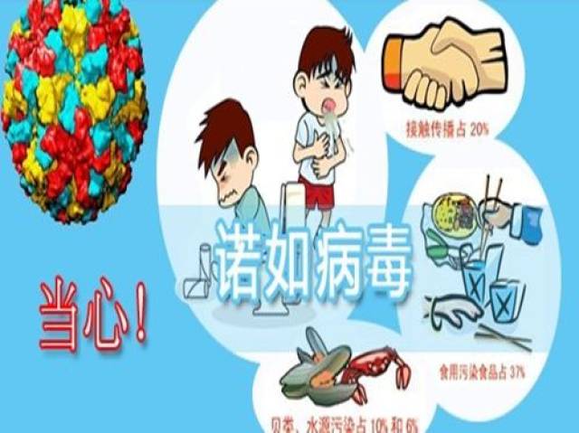 【泰然讲堂】感染诺如病毒该怎么办？