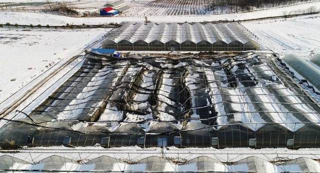 ͼϷʶദ߲˴ݮﱻѩѹأҵ