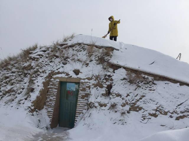 督查固原市农牧局副局长杨自远带领技术人员督查指导雪后设施农业生产