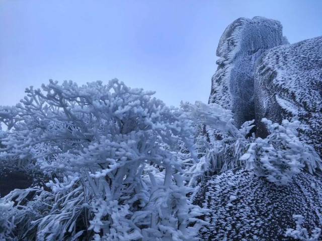 九仙山迎来今年首场雾凇!原来除了九仙山