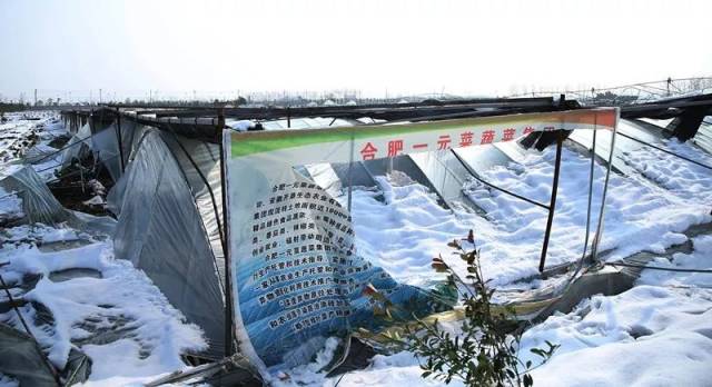 ͼϷʶദ߲˴ݮﱻѩѹأҵ