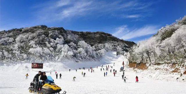 金佛山牵牛坪滑雪场