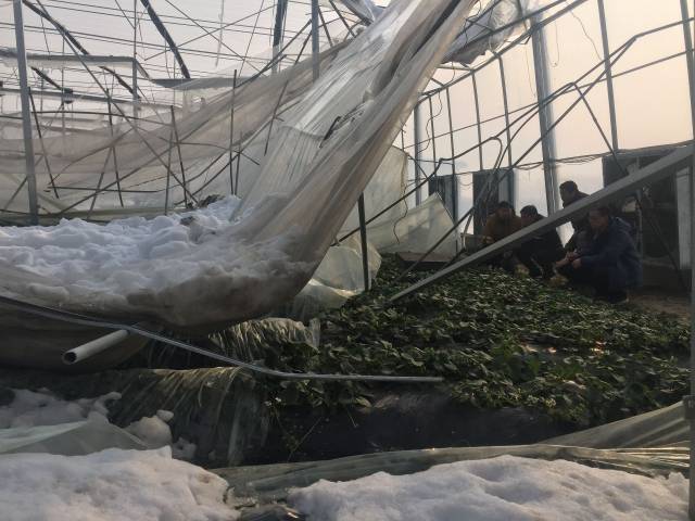 ͼϷʶദ߲˴ݮﱻѩѹأҵ