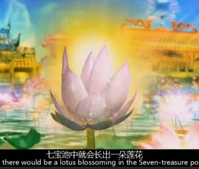 带你去看极乐世界-清静庄严;无比殊胜
