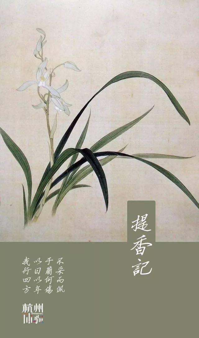 我从山中来,带着兰花草