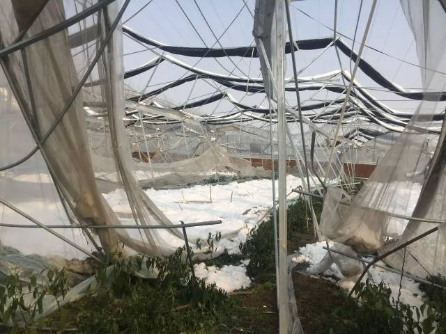 ͼϷʶദ߲˴ݮﱻѩѹأҵ