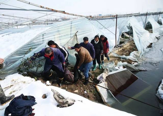 ͼϷʶദ߲˴ݮﱻѩѹأҵ