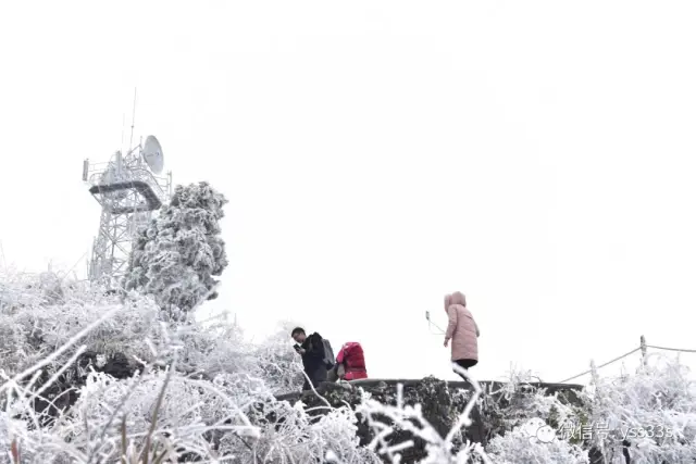 2018年第一场雪景!凯里小高山冰雪美照美爆了!