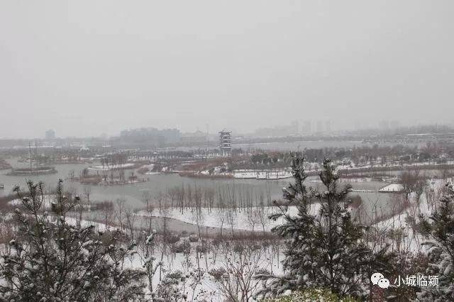 临颍县千亩湖黄龙湿地公园雪后景色雪后更漂亮