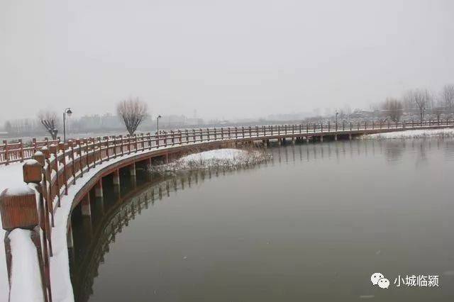 临颍县千亩湖(黄龙湿地公园)雪后景色,雪后更漂亮!