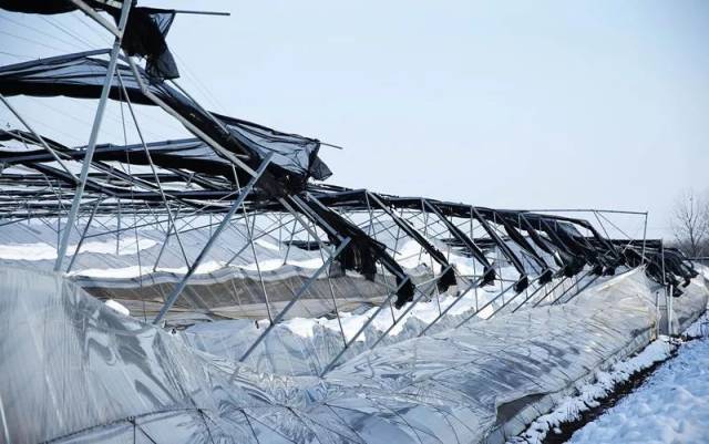 ͼϷʶദ߲˴ݮﱻѩѹأҵ