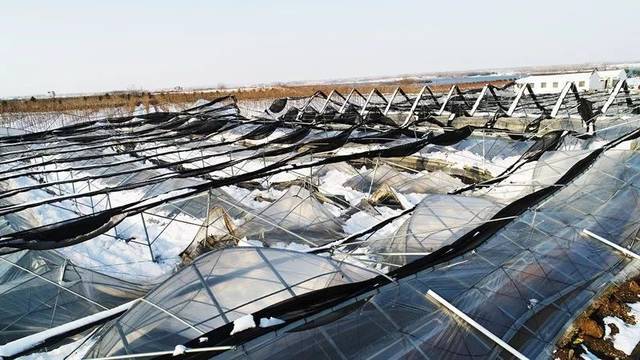 ͼϷʶദ߲˴ݮﱻѩѹأҵ