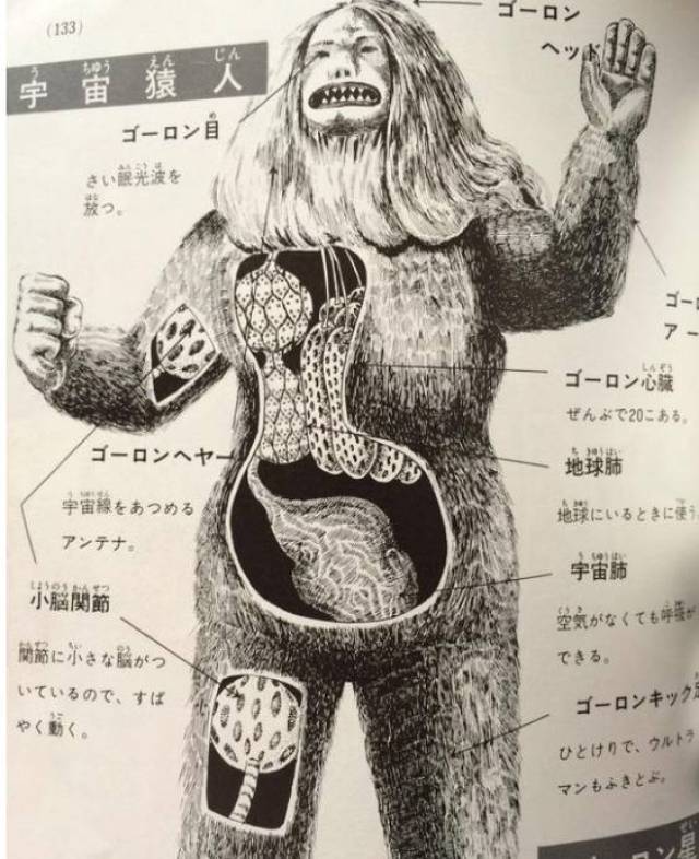原来奥特曼和人类一样也有内部器官!所以奥特曼也并非不死之身