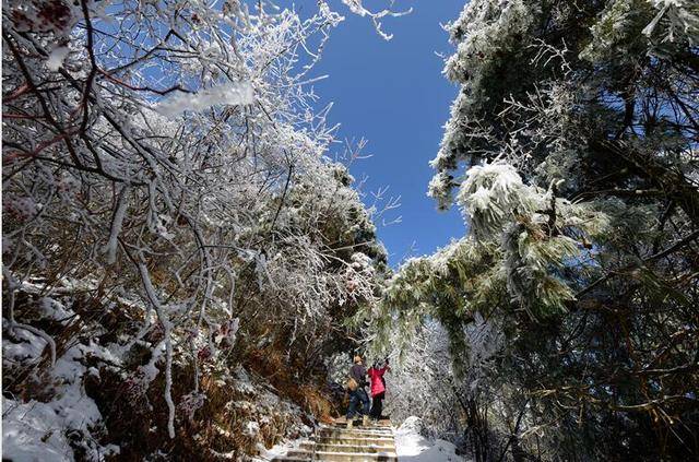 一步一景,广元有个地方叫水磨沟,冬季徒步,看最美雪景最佳地!