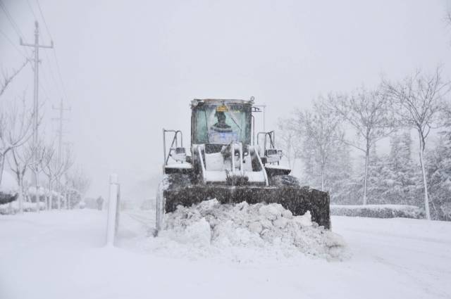 昨晚雷打雪,今天暴雪狂风,明天还继续