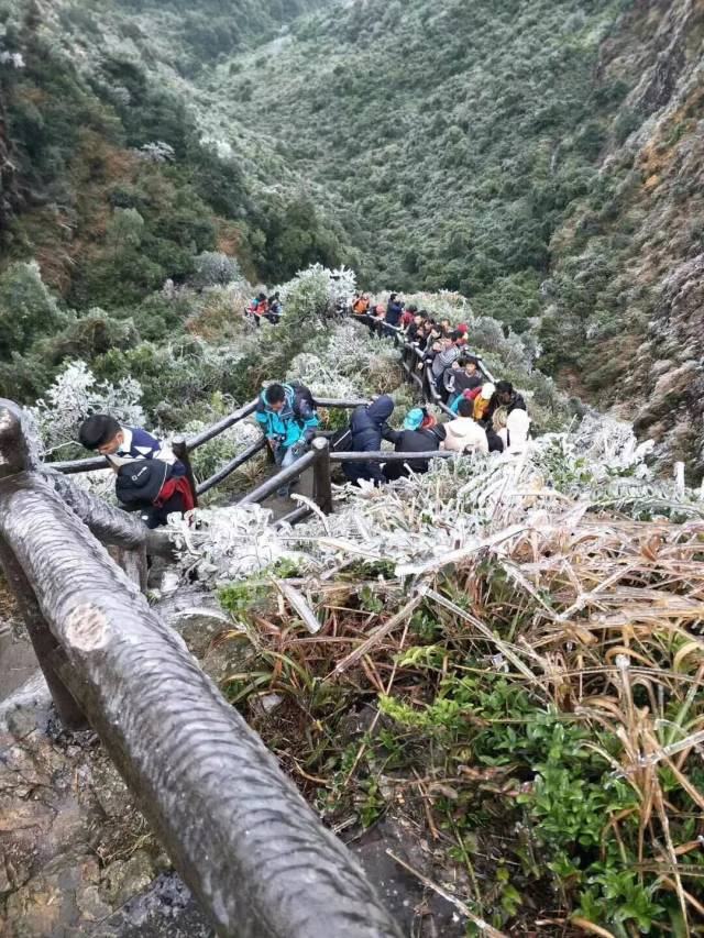 是不是被平天山上的"雪景"惊艳到了!