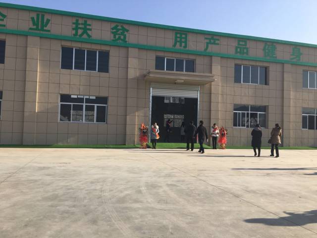 陕西石泉珍爱农产品加工厂项目正式竣工,蚕桑产业发展