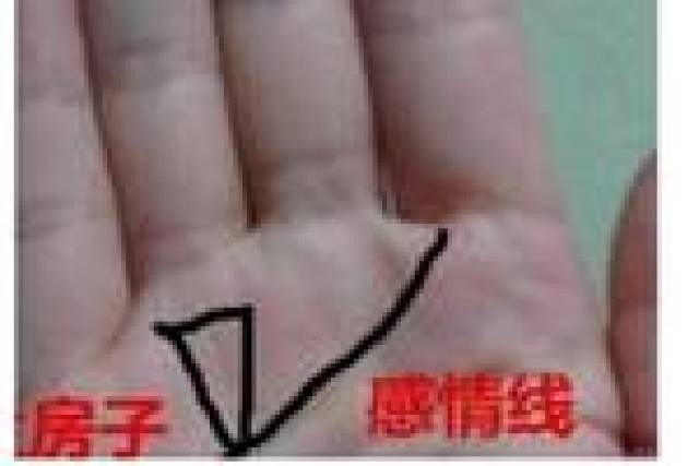 如果一个人手中有金房子 如需测八字,看手相面相,六爻占卜,请点击下方