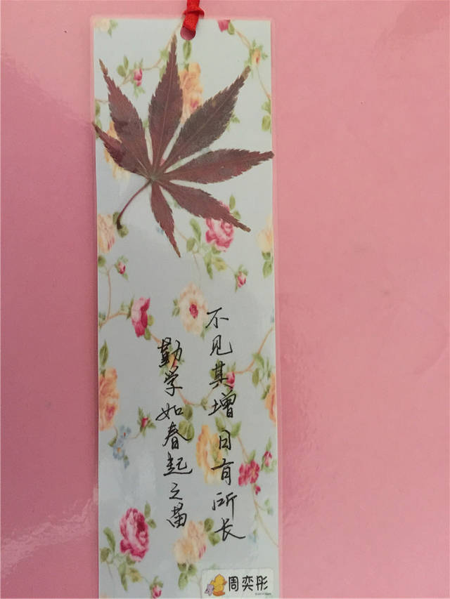 秋日那么可爱,孩子们挥挥手和美好的秋日告别,做一支书签把这份眷念