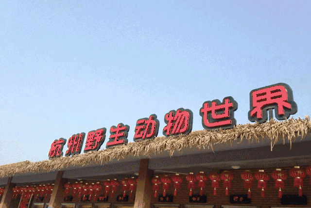 杭州景区年票精选 大陆男有认识一位妈妈,每年都会办理杭州野生动物