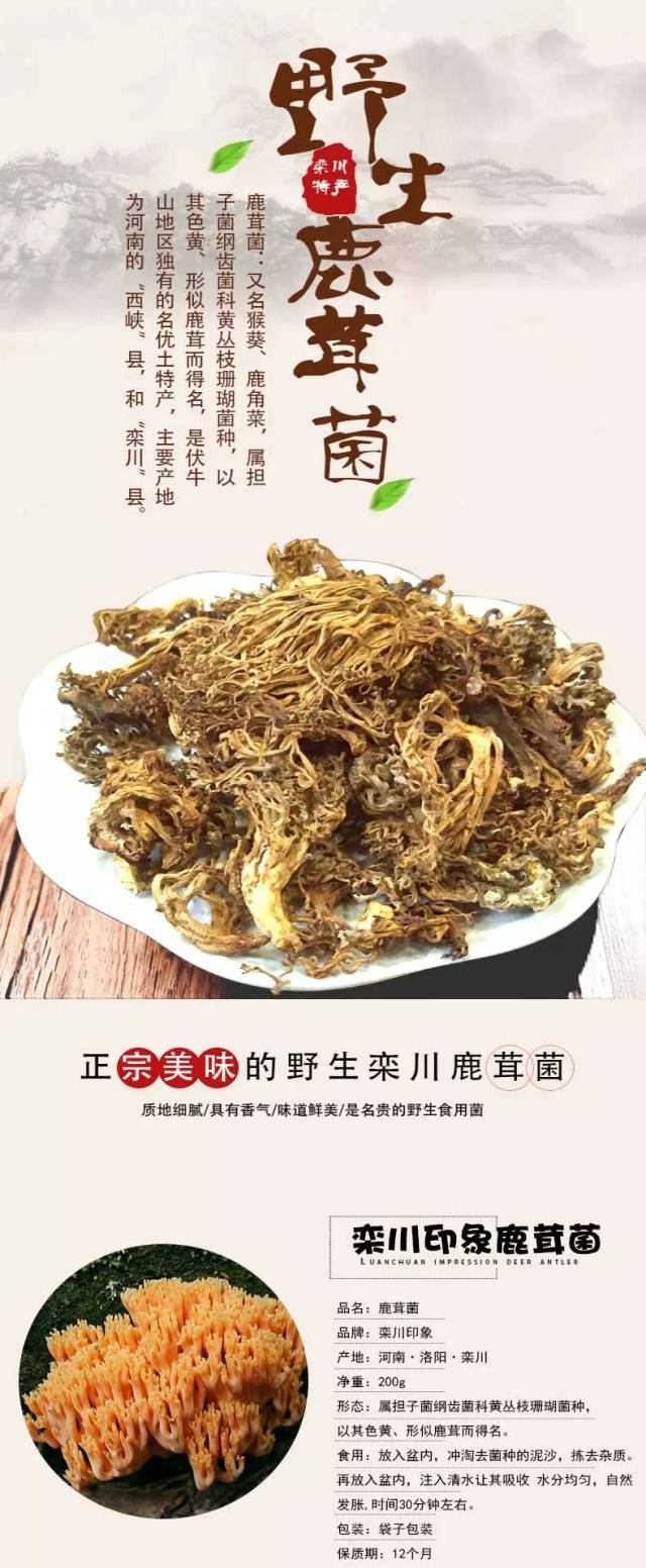 【生态新品"菌中极品,纯天然的珍稀名贵食用菌类—栾川印象鹿茸