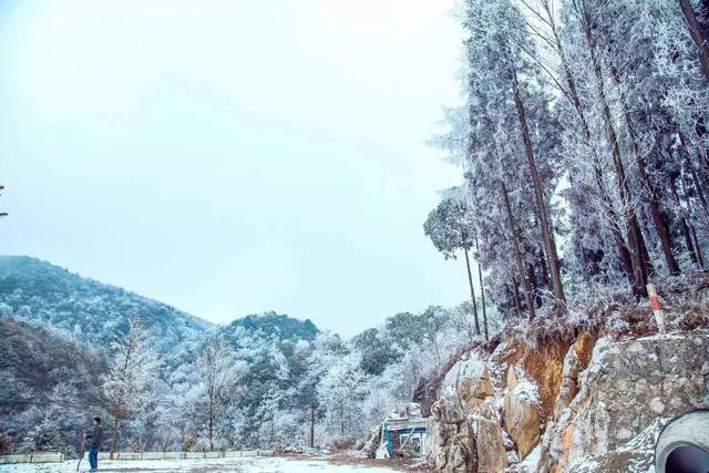 吴家后山观雾山乾元山的雪,一个字:美!还没去的看这里