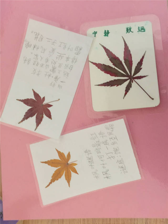 秋日那么可爱,孩子们挥挥手和美好的秋日告别,做一支书签把这份眷念