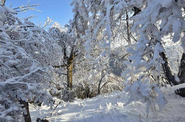 每年冬天都会吸引,广元周边的旅游喜好者,到此赏雪.图,钟卫东