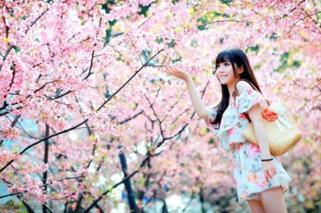 王俊伊主演网剧《樱花季节遇见你》,海选寻找