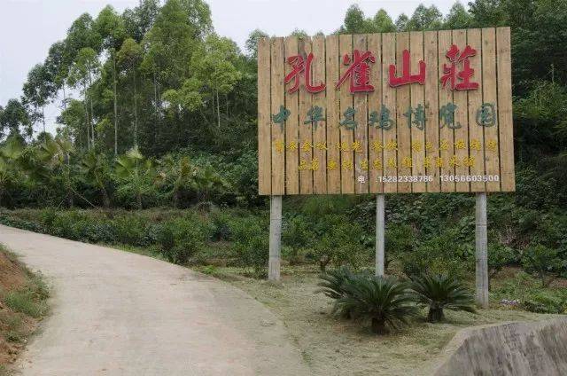 彭山区孔雀山庄▼