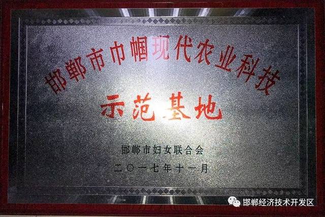 我区斩获"邯郸市巾帼现代农业科技示范基地"邯郸市巧手脱贫示范基地