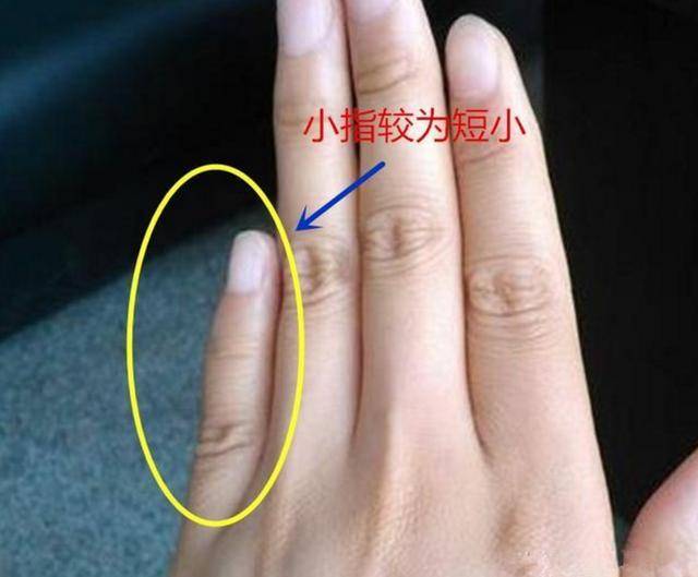 此种手相的人乃人生赢家,事业有成,女嫁贵夫,男