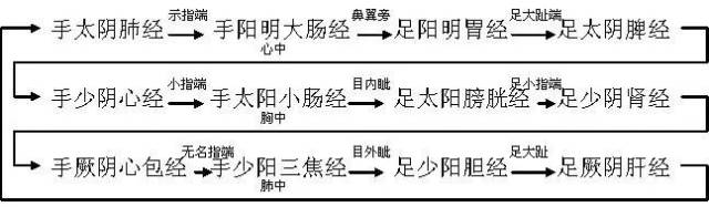 十二经脉的位置,走向规律,交接规律及分布规律,中医