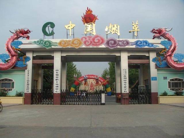 国企单位:烟草公司招聘160人!要求英语四级达