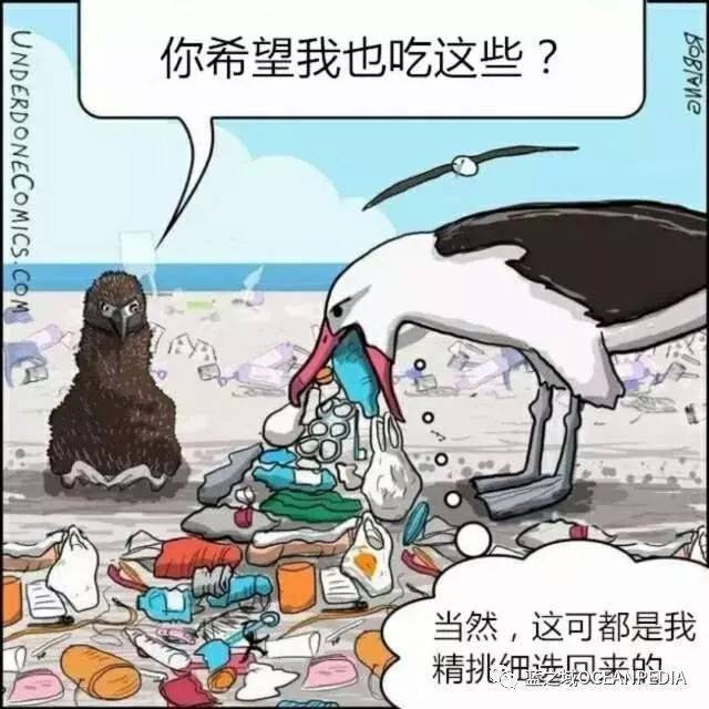 如果动物会说话,面对海洋垃圾会是怎样?