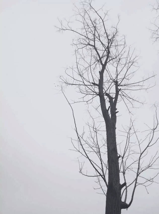 00后有话说|袁凌VS张宇:做“留守儿童”我习惯了